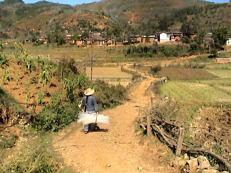 克恭村通村道路