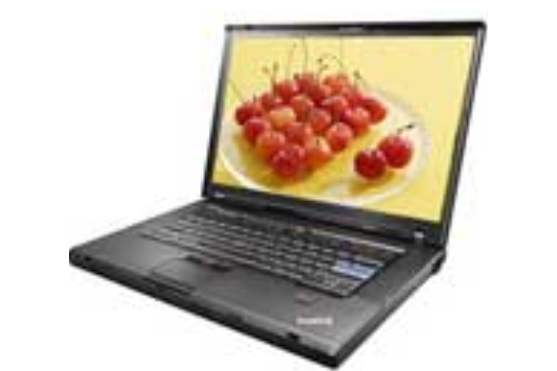 ThinkPad T500 2055CD8