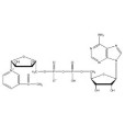 3-乙醯吡啶腺嘌呤二核苷酸