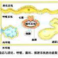 人體內環境