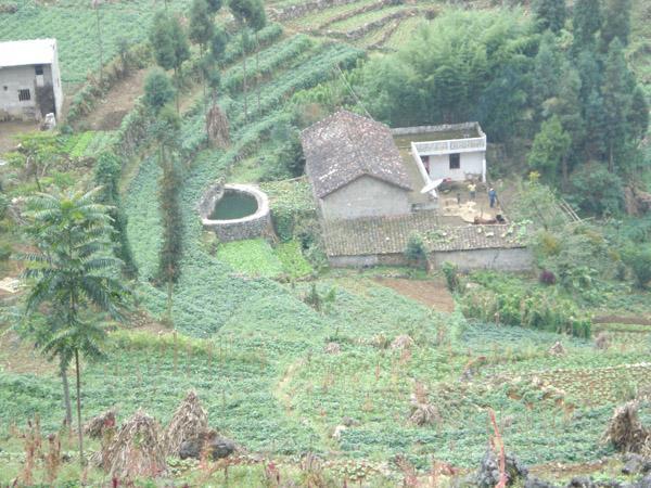 趙家灣自然村(雲南省文山壯族苗族自治州西疇縣雞街鄉龍老村委會轄自然村)