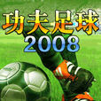 2008功夫足球