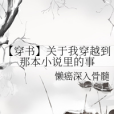 【穿書】關於我穿越到那本小說里的事