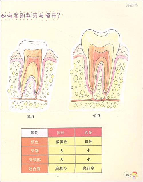 我們要健康：牙齒書