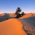 撒哈拉沙漠(撒哈拉大沙漠)