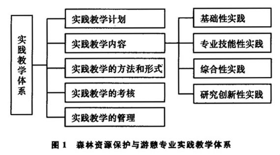 森林資源保護與遊憩