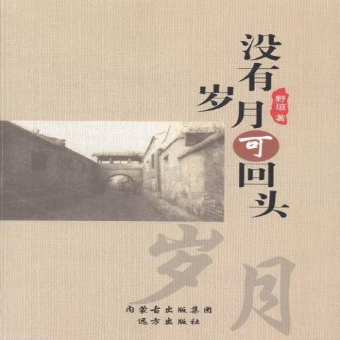 沒有歲月可回頭(2014年遠方出版社出版的圖書)