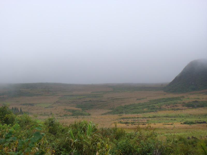 打靶期村耕地