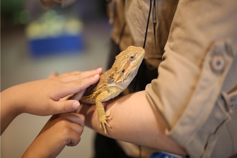 萌寵奇緣室內主題動物園