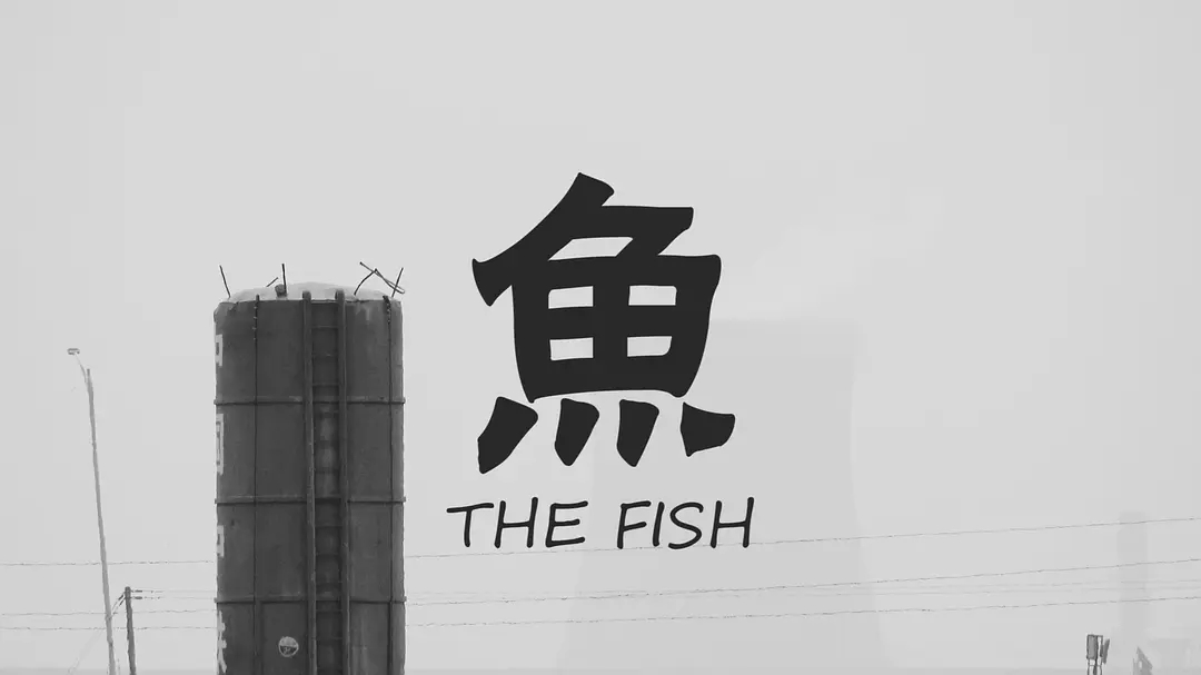 魚