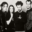 Guano Apes