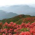 靈緒山