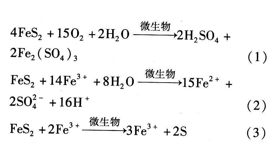 脫硫微生物