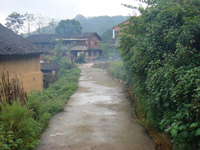 大丫口村(雲南曲靖市富源縣富村鎮下轄村)