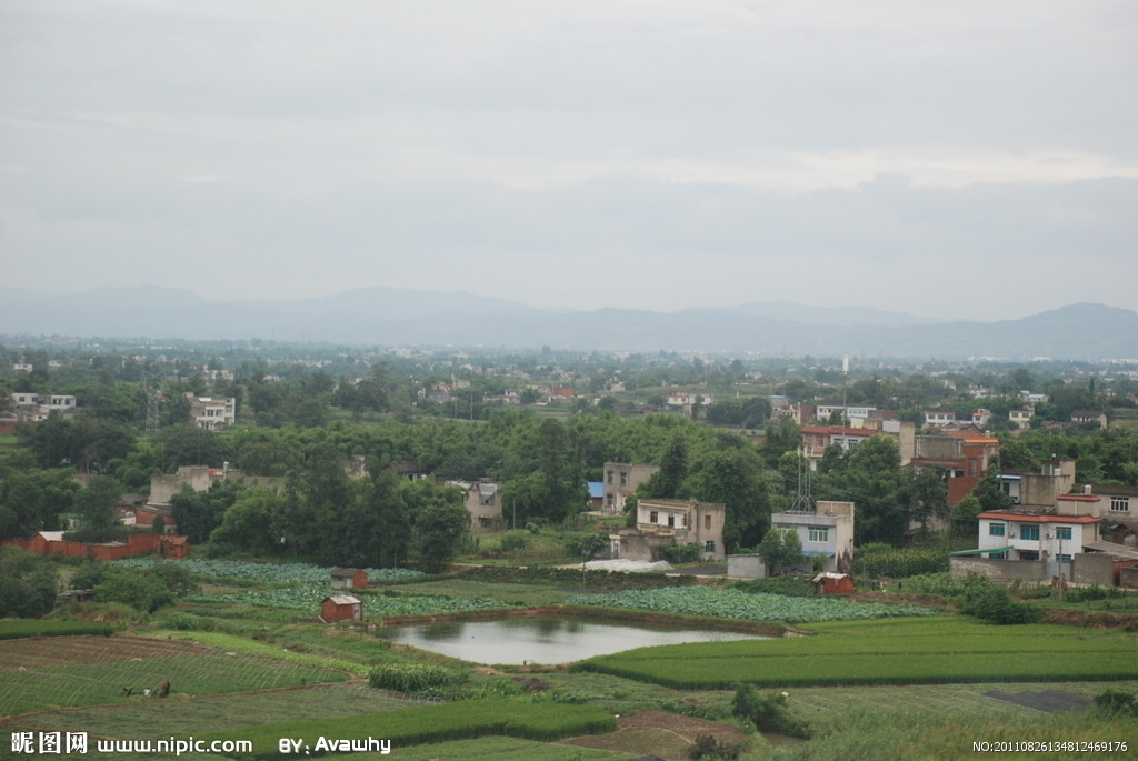 東大楊村