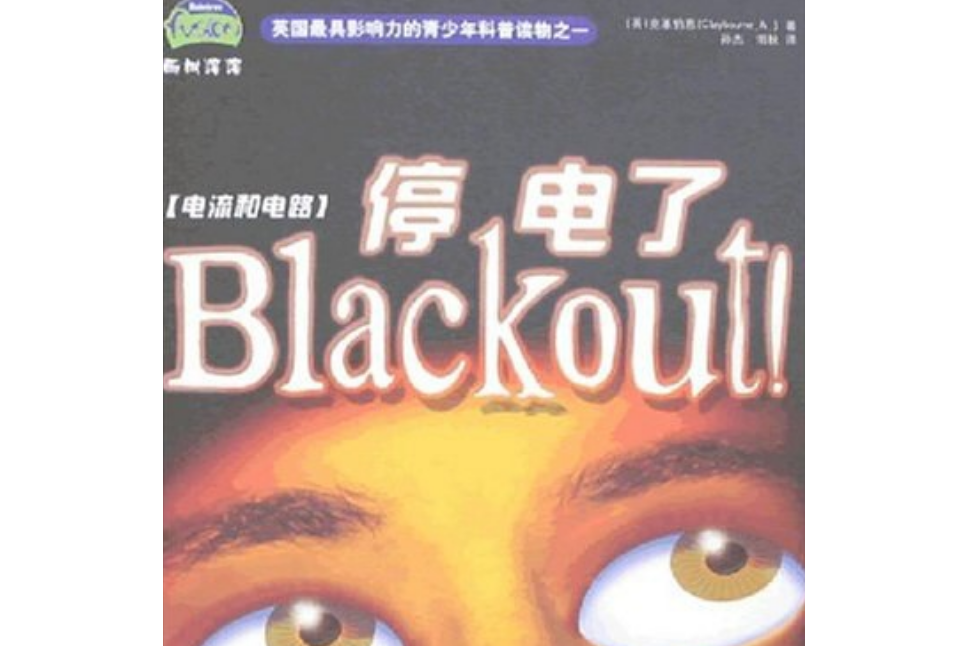 停電了(2008年哈爾濱工業大學出版社出版的圖書)