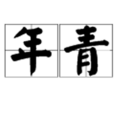 年青(漢語詞語)