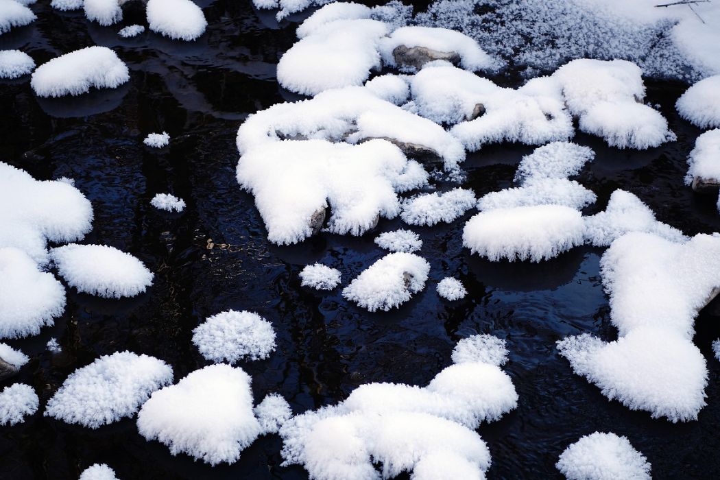 途中賡禁體雪韻