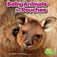 Baby Animals in Pouches