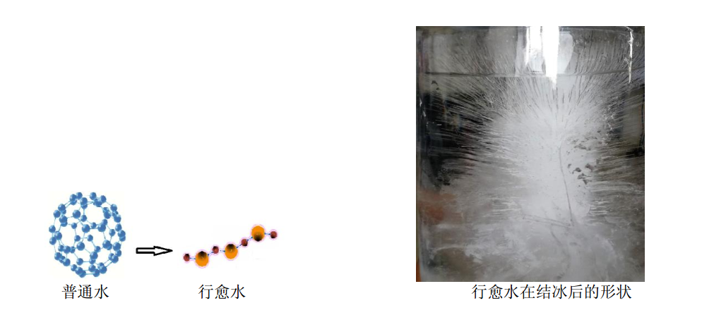 康寶露健康科技股份有限公司