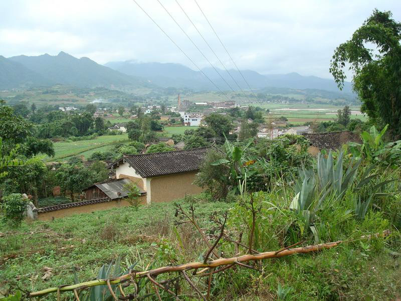 者孟村(雲南省文山州廣南縣壩美鎮者孟村)