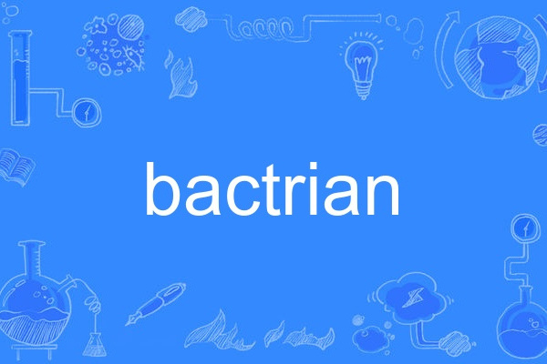 bactrian