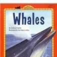 Whales(Faiella, Graham; Maccombie, Turi;著圖書)