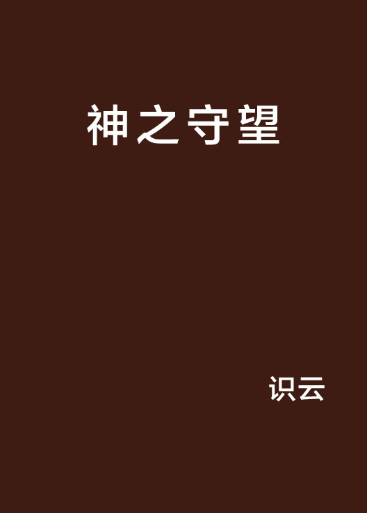 神之守望(識雲所著小說)