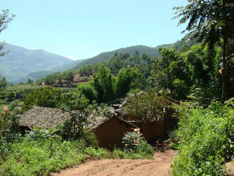 野鴨塘村