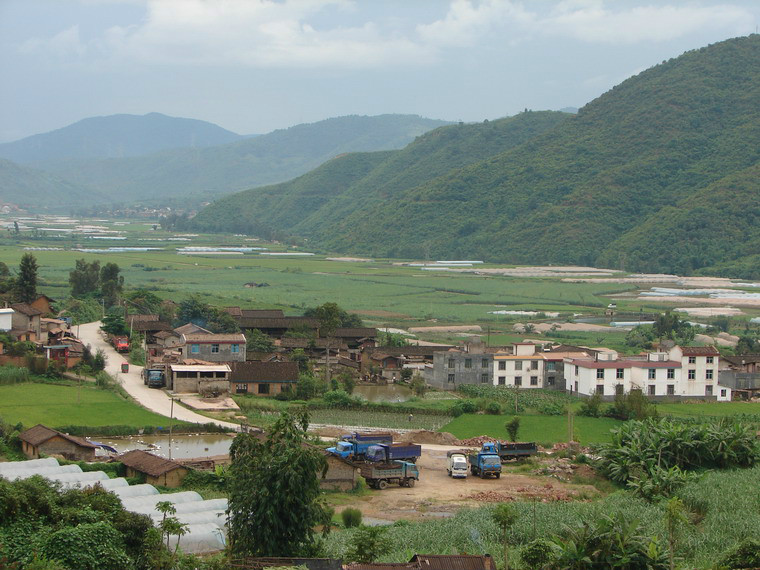 新村(峨山縣化念鎮鳳凰村民委員會下轄村)