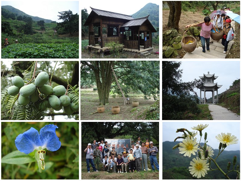 榧王村