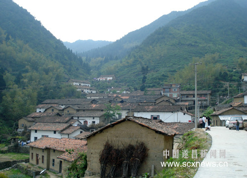 茶樹坪村