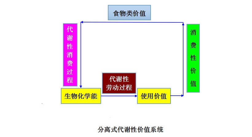 代謝性價值系統