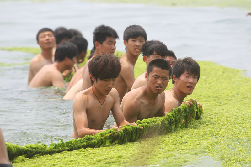 “人牆”拉網清滸