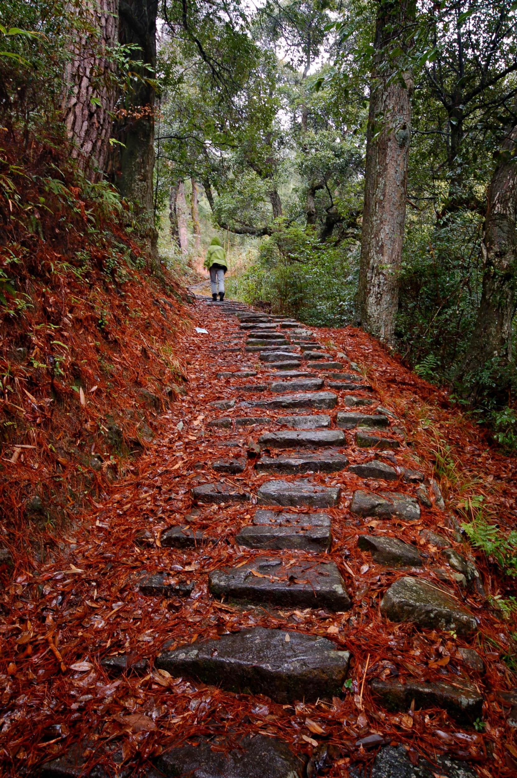 天關山古道