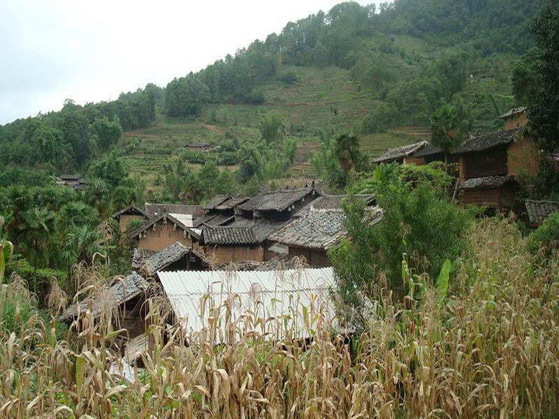 大龍塘村(大朝山東鎮蒼文村民委員會大龍塘村)