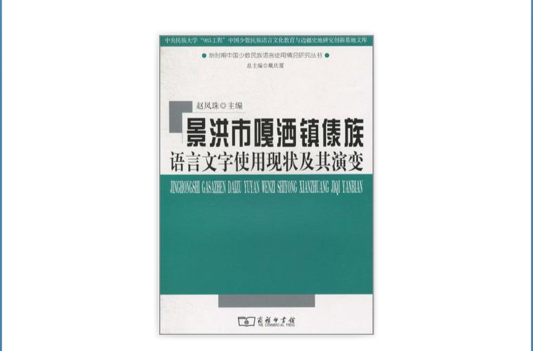 景洪市嘎灑鎮傣族語言文字使用現狀及其演變