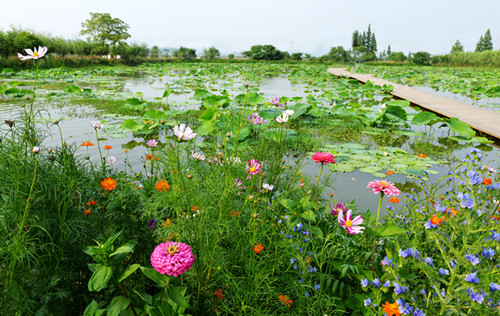 浙江諸暨白塔湖國家濕地公園