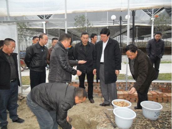 彭長生(江蘇泰靈生物科技有限公司董事長)