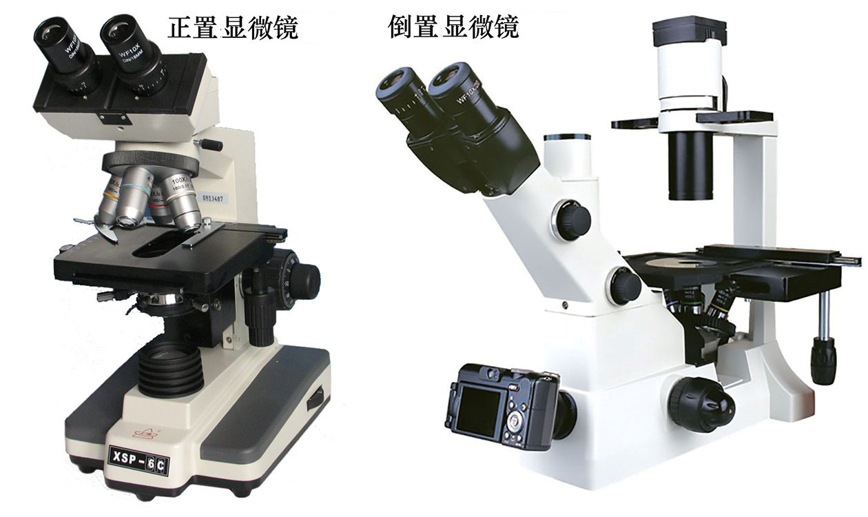 醫學顯微鏡