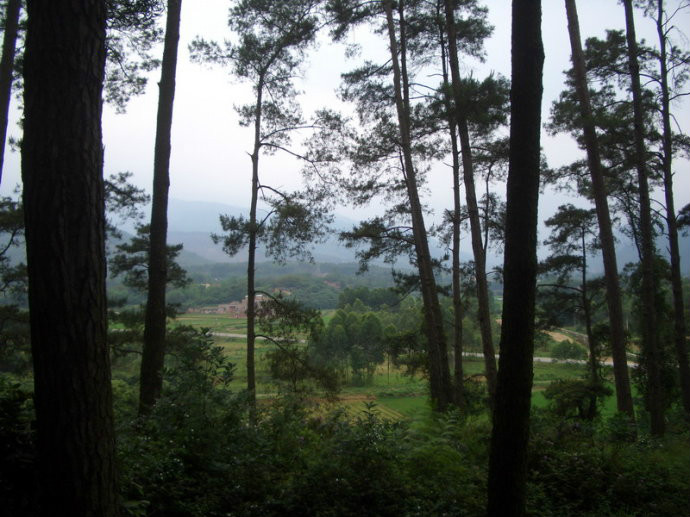 金田起義地址(太平天國起義遺址)