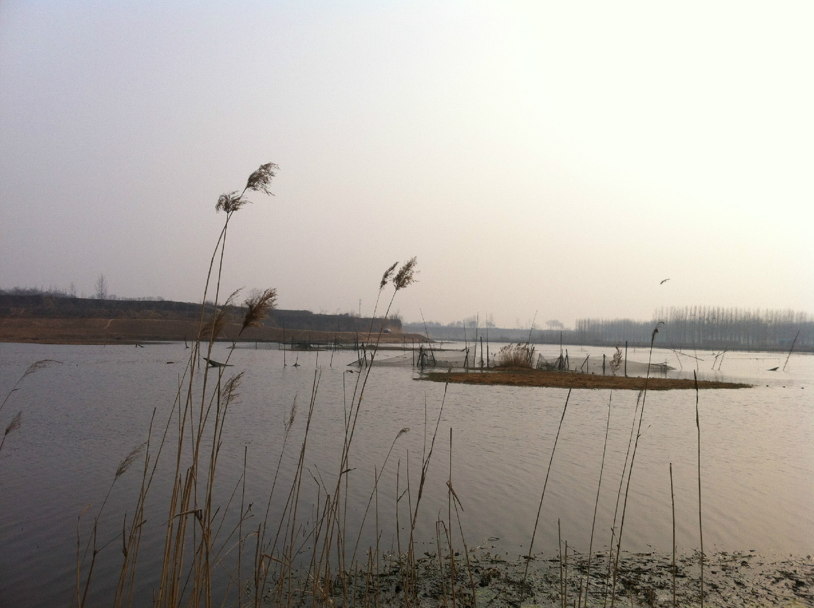 付莊村(鄭州市新鄭市和莊鎮下轄村)