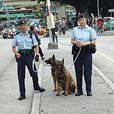 香港警犬隊