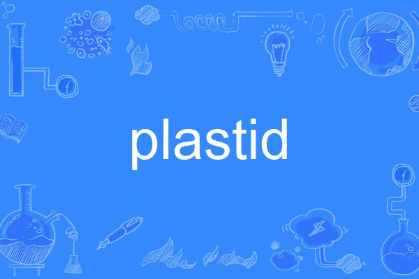 plastid