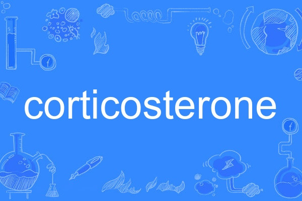 corticosterone