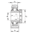 FAG LASE35-N軸承