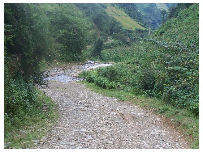 秧草坪自然村通村道路