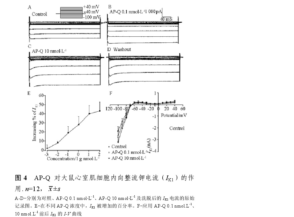 海葵毒素對大鼠心室鉀電流作用