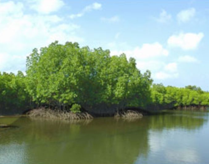 海南海上國家森林公園