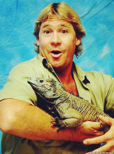 史蒂夫·歐文(Steve Irwin)